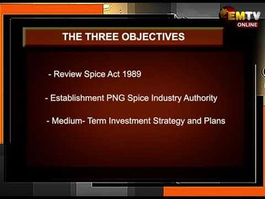 SPICE POLICY ENDORSEMENT