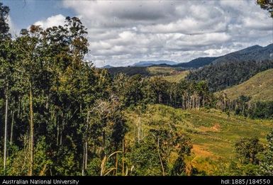 Okapa road - 16 1/2 miles to Orona (right of road)