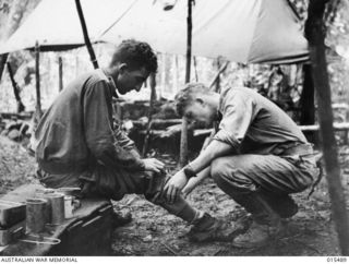 1943-08-10. NEW GUINEA. MOUNT TAMBU FIGHTING. A HUNDRED YARDS FROM THE JAPANESE AT A FRONT LINE DRESSING STATION PTE. "JUDGE" RUTHERFORD, OF CAULFIELD, VIC., RECEIVES ATTENTION TO A LEG INJURY FROM ..