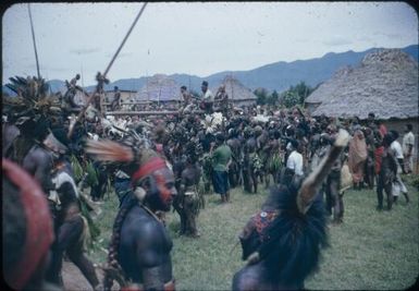 New Year's Day festivities at Minj Station, 1955, the greasy pole : Minj Station, Wahgi Valley, Papua New Guinea, 1954 / Terence and Margaret Spencer
