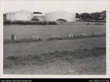 Grounds, Lautoka Mill