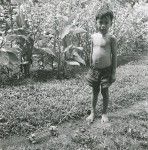 Toy for a small boy, village of Vairao, Tahiti
