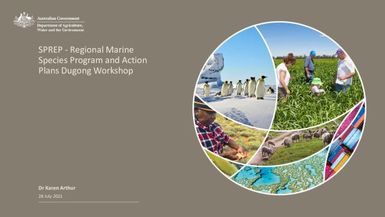 SPREP - Regional marine species program and action plans dugong workshop