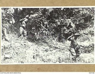 MOUNT PROTHERO AREA, NEW GUINEA. 1944-01-21. QX20009 STAFF SERGEANT N.C. STUBBS (LEFT) AND TX456 PRIVATE J.D. O'MAHONEY (RIGHT) WALKING WOUNDED OF 2/12TH INFANTRY BATTALION MAKING THEIR WAY BACK TO ..