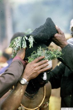 ["fotografi, photograph"]