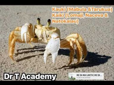 FOCUS ON CICIA ISLAND , 🏝️LAU PROVINCE FIJI: KAUKI, e kacivi na yaca qo e Mabula kei Tarukua