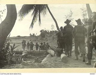 BABIANG, NEW GUINEA. 1944-11-09. A PATROL FROM A TROOP, 2/10 COMMANDO SQUADRON, MOVING IN DAWN SUNLIGHT THROUGH A COCONUT GROVE