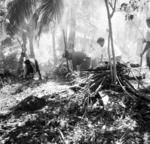 Co-operative sweet yam garden. Motu. Tevita Foki (leader) bending left, Fine Langatoli bending centre. Note mound lower left.