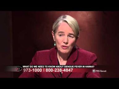 What Do We Need to Know About Dengue Fever in Hawaii? | Insights on PBS Hawai'i