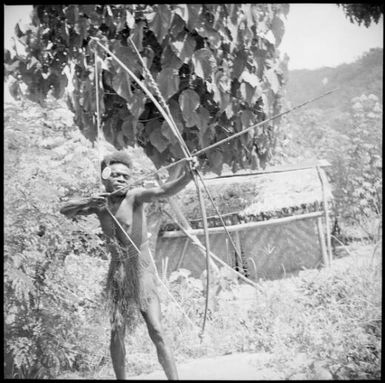 Front view of a man firing a bow and arrow, New Guinea, ca. 1936, 2 / Sarah Chinnery