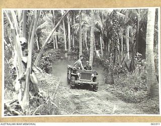 SIALUM, NEW GUINEA. 1944-01-07. JEEPS MOVING ALONG A DUSTY TRACK NORTH OF THE VILLAGE