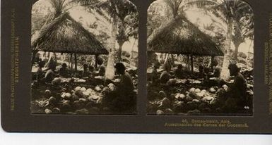 ["Samoa-Inseln, Apia, Ausschneiden des Kernes der Cocosnuss."]