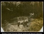 Man outdoors with horses