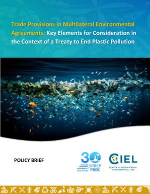Trade Provisions in Multilateral Environmental Agreement: Key Elements for Consideration in the Context of a Treaty to End Plastic Pollution - Policy Brief