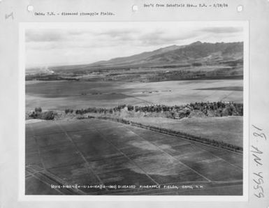 Hawaii - Miscellaneous