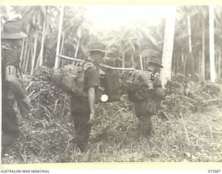 WEWAK AREA, NEW GUINEA. 1944-05-26. MEMBERS OF THE 35TH INFANTRY BATTALION MOVING THROUGH A COCONUT PLANTATION CARRYING AN IMPROVISED COOKING TIN. THE UNIT IS ENGAGED IN A DRIVE UP THE COAST ..