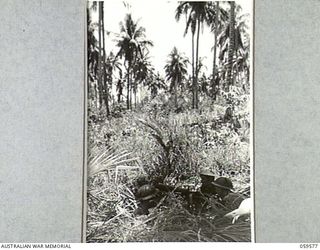 FINSCHHAFEN AREA, NEW GUINEA, 1943-10-28. TROOPS OF THE 2/2ND AUSTRALIAN MACHINE GUN BATTALION MANNING A DEFENCE POSITION IN THE AREA. THEY ARE, LEFT TO RIGHT:- VX56767 PRIVATE H.J. MAY (1); ..