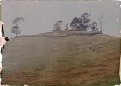 New Zealand?, Hills and Trees
