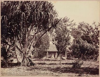 Women outside a house. From the album: Tahiti, Samoa and New Zealand scenes