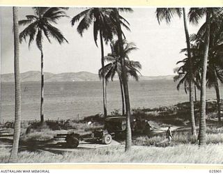PORT MORESBY, PAPUA. 1942-07-11. AUSTRALIAN ARTILLERY UNIT AT ITS ACTION STATION ON THE NEW GUINEA COAST, SHADE FROM THE COCONUT PALMS PROVIDE EXCELLENT CAMOUFLAGE. NOTE -THESE GUNS ARE NOT IN ..