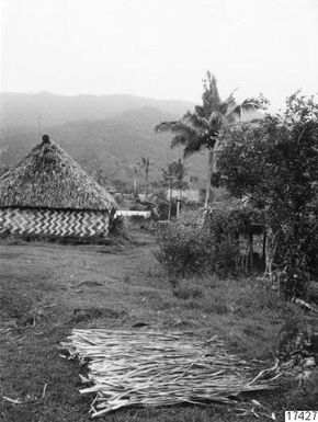 ["landskap, pandanus, utsikt, by, fotografi, photograph"]