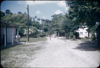 Road leading to the memorial cenotaph of Christopher Robinson : Samarai, Papua New Guinea, 1953 / Terence and Margaret Spencer