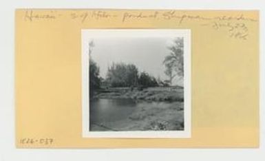[Ponds at W.H. Shipman House in Hawaii, envelope IE26-037]