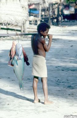 ["fotografi, photograph"]