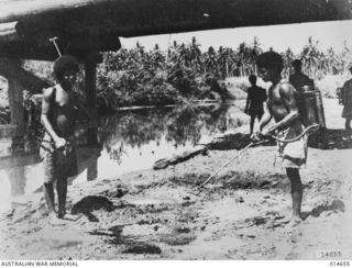 1943-04-14. NEW GUINEA. MOSQUITO CONTROL. NATIVE BOYS EACH WEEK SPRAY ALL CREEK MARGINS, WATER HOLES, WHEEL RUTS, WATER-LOGGED TRACKS, ETC. IN 1942-12, MALARIA INCIDENCE RESULTED IN 8.9% OF TROOPS ..