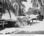 Rongerik native standing beside water collecting device built by Seabees, Rongerik Island, 1947