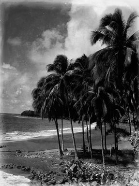 [View of Pacific Island coastline]