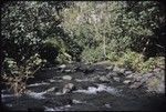 Orofere Valley, Tahiti: stream