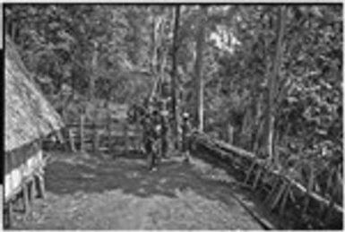 Pig festival, stake-planting, Tuguma: decorated men inside house fence join procession to enemy boundary