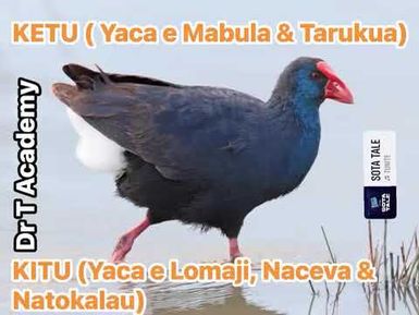 FOCUS ON CICIA ISLAND 🏝️ LAU PROVINCE FIJI- Na manumanu na KETU