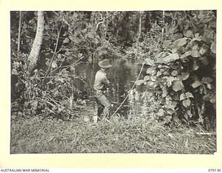 TSIMBA AREA, BOUGAINVILLE ISLAND. 1945-02-13. A MEMBER OF THE 31/51ST INFANTRY BATTALION PULLING A BOAT ACROSS THE GENGA RIVER