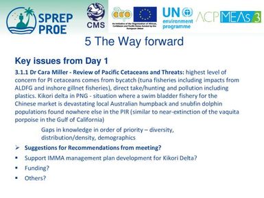 5. Summary of CMS Cetacean MOU 4th Meeting of Signatories