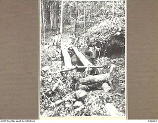PAPUA, NEW GUINEA. 1942-10. PRESS CORRESPONDENTS IN THE FORWARD AREA WATCHING NATIVE CARRIERS CROSSING A GORGE BY MEANS OF FELLED TREE TRUNKS