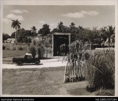 Cane Experiment Station