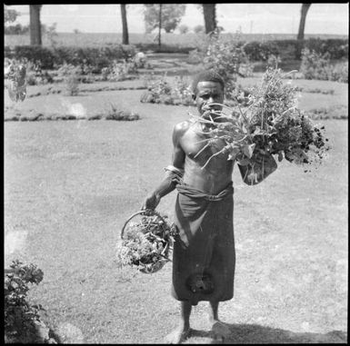 Aiau, the Chinnery's garden boy, holding a basket and a bunch of flowers presented to Lady Gowrie, Malaguna Road, Rabaul, New Guinea, 1937 / Sarah Chinnery