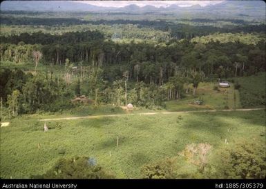 European Cocoa plantation, Popondetta