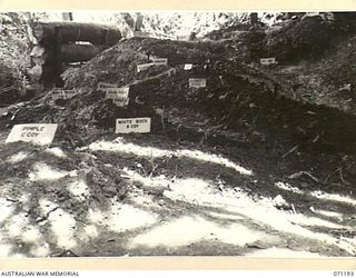 FINSCHHAFEN AREA, NEW GUINEA. 1944-03-17. A SECTION OF THE SAND MODEL USED TO DESCRIBE FEATURES OF TERRAIN TO TROOPS OF THE 2/48TH INFANTRY BATTALION PRIOR TO THE BATTLE FOR SATTELBERG