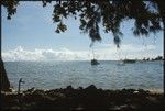 Several boats by the shore