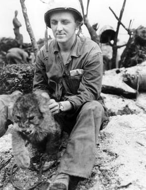 [Lion Cub Held by U.S. Marine]