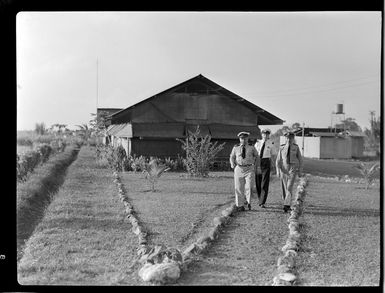 Qantas Empire Airways, [staff accomodation?], Bulolo Airfield, Morobe, Papua New Guinea