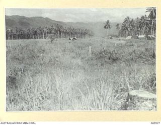 MILNE BAY, NEW GUINEA. 1943-01. AN AREA, SOME MILES FROM HEADQUARTERS, 5TH DIVISION, WHICH WAS CLEARED FOR A LANDING STRIP BY ENGINEERS OF THE UNITED STATES ARMY BUT HAD TO BE ABANDONED AS THE ..