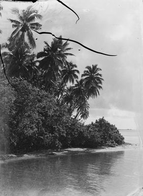 [Pacific Island coastline and bush]