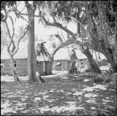 Rows of grass huts, Nasalai, Fiji, 1966 / Michael Terry