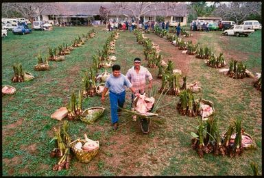 Food division, Niue