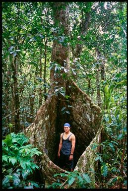 Mario Cross, Niue