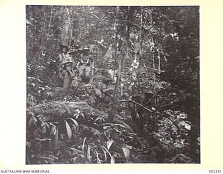 GAZELLE PENINSULA, NEW BRITAIN, 1945-05-13. TROOPS OF A COMPANY, 37/52 INFANTRY BATTALION, MOVING DOWN A PRECIPITOUS CLIFF TO A CREEK BED NEAR THE END OF THEIR THIRD DAY'S MARCH DURING THE TREK ..
